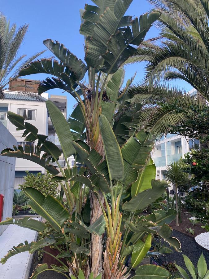 Sun And Surf Stay Corralejo Esterno foto