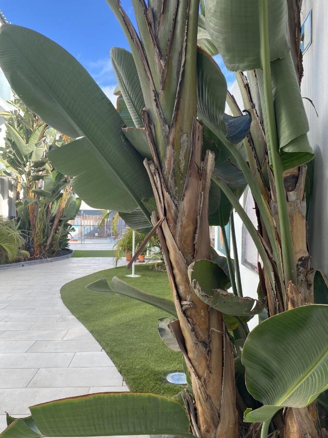 Sun And Surf Stay Corralejo Esterno foto