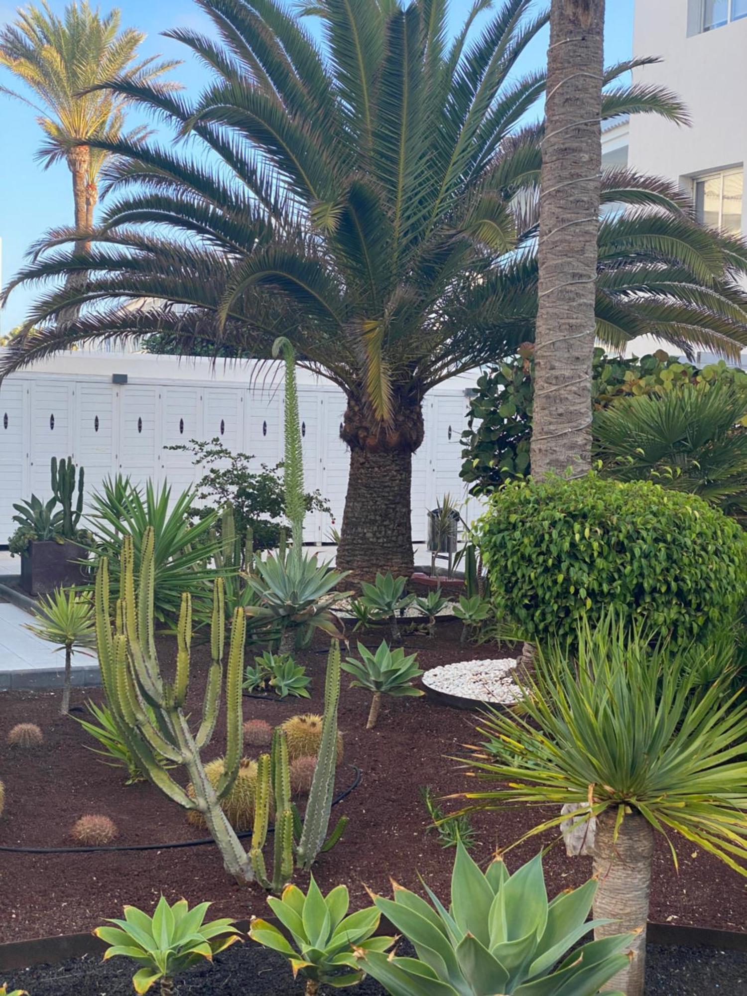 Sun And Surf Stay Corralejo Esterno foto