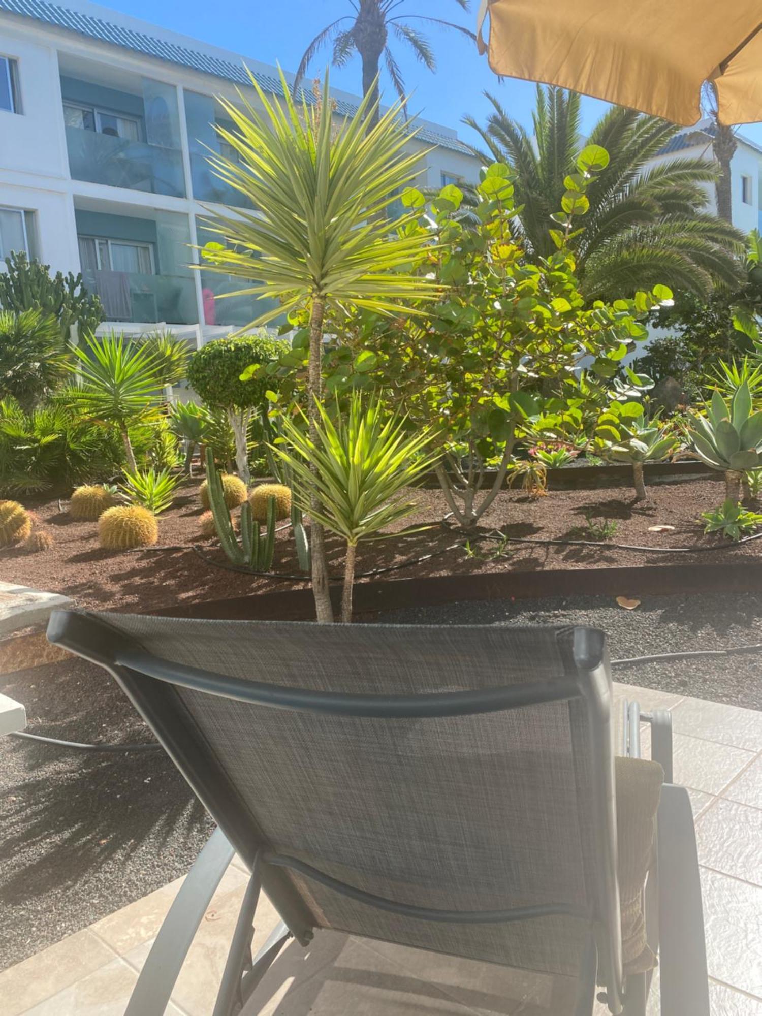 Sun And Surf Stay Corralejo Esterno foto